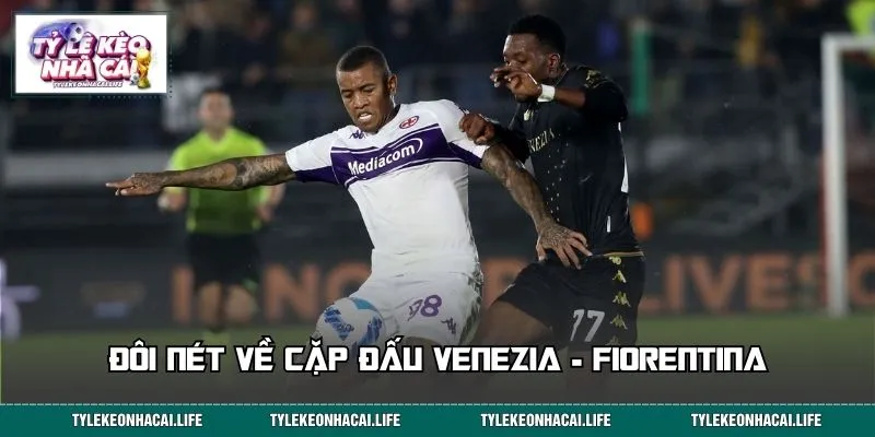 Đôi nét về cặp đấu Venezia - Fiorentina
